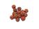 Rudraksha